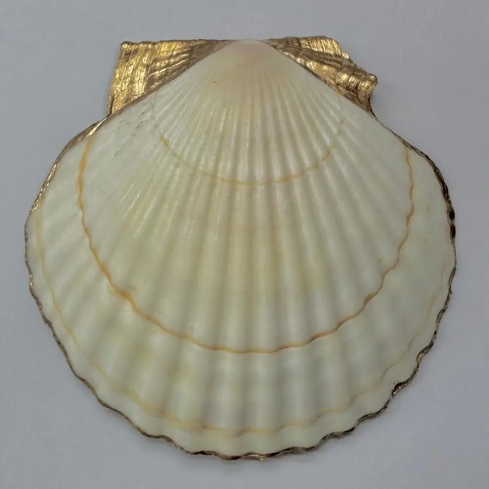 Tropical Monstera Seashell Trinket Jewelry Dish